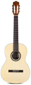 7 10 Acoustic Cordoba Guitars C1M 3 4 Acoustic Trans